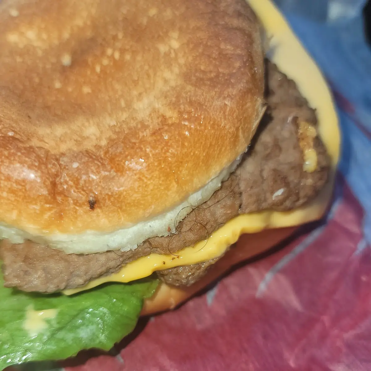 Hair on a Burger 10-26-2023