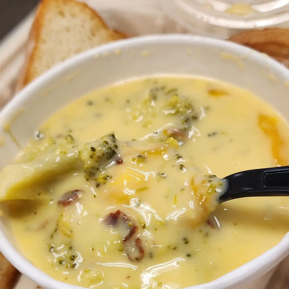 Broccoli Cheddar Soup