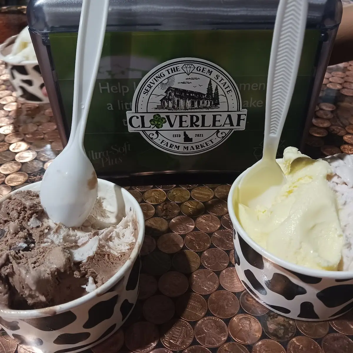 Gelato