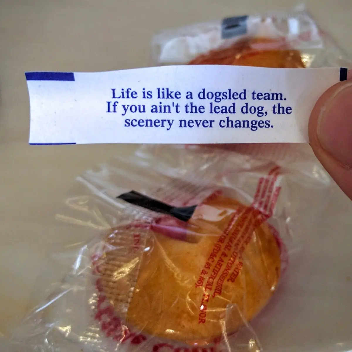 Fortune Cookies