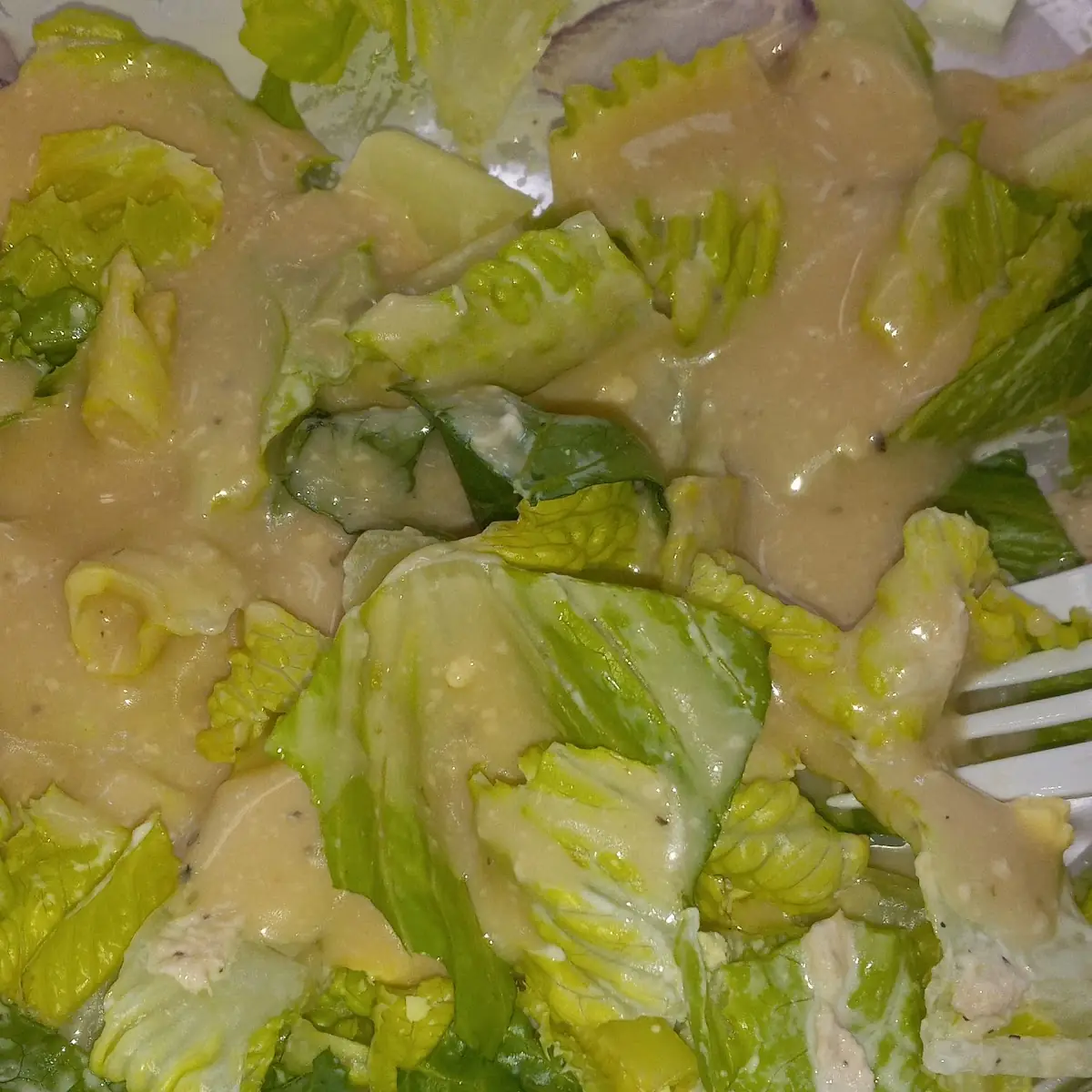 Tuna Salad Salad