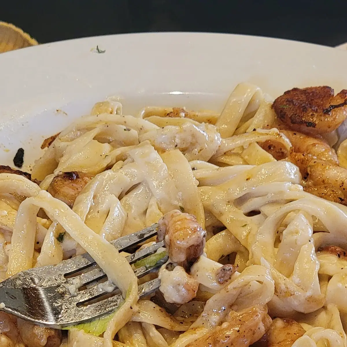 Shrimp Alfredo Pasta