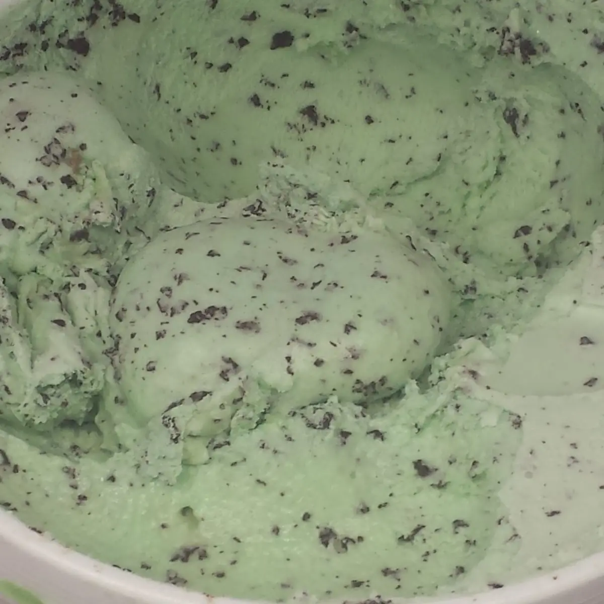 Mint Chip Ice Cream