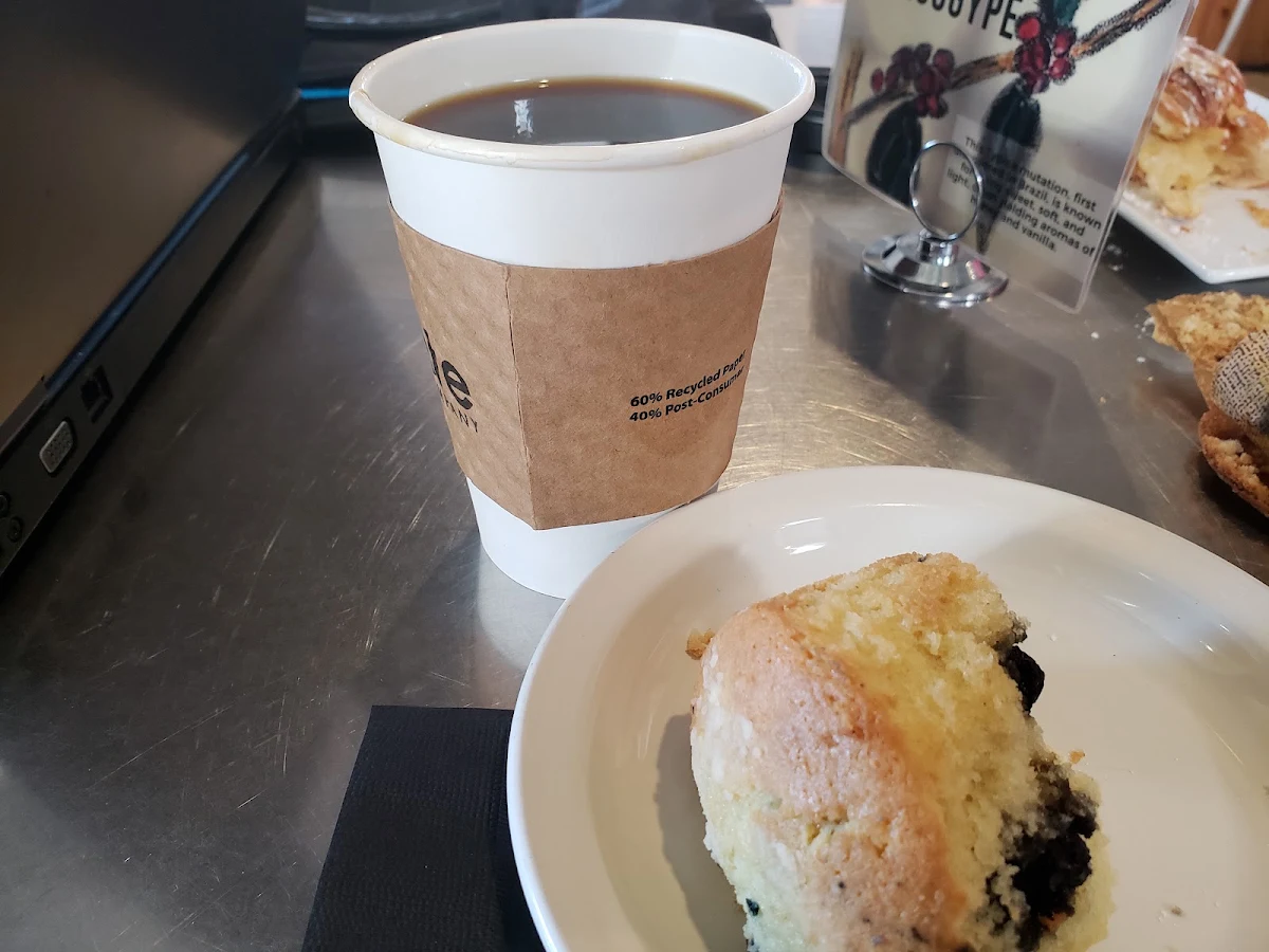 Blueberry Muffin