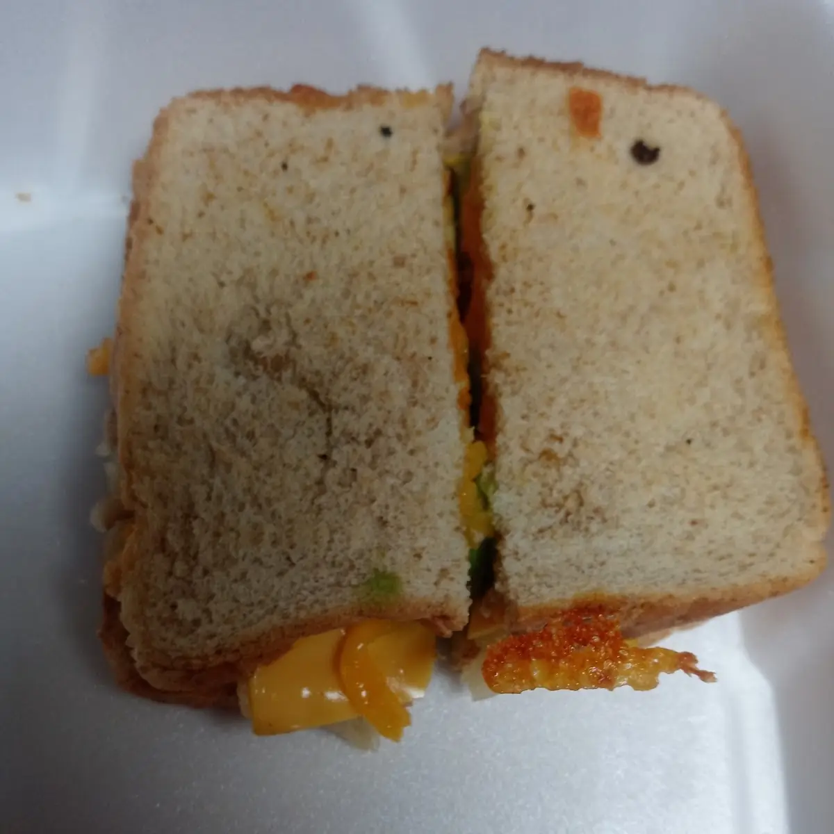 Grown Up Grilled Cheese