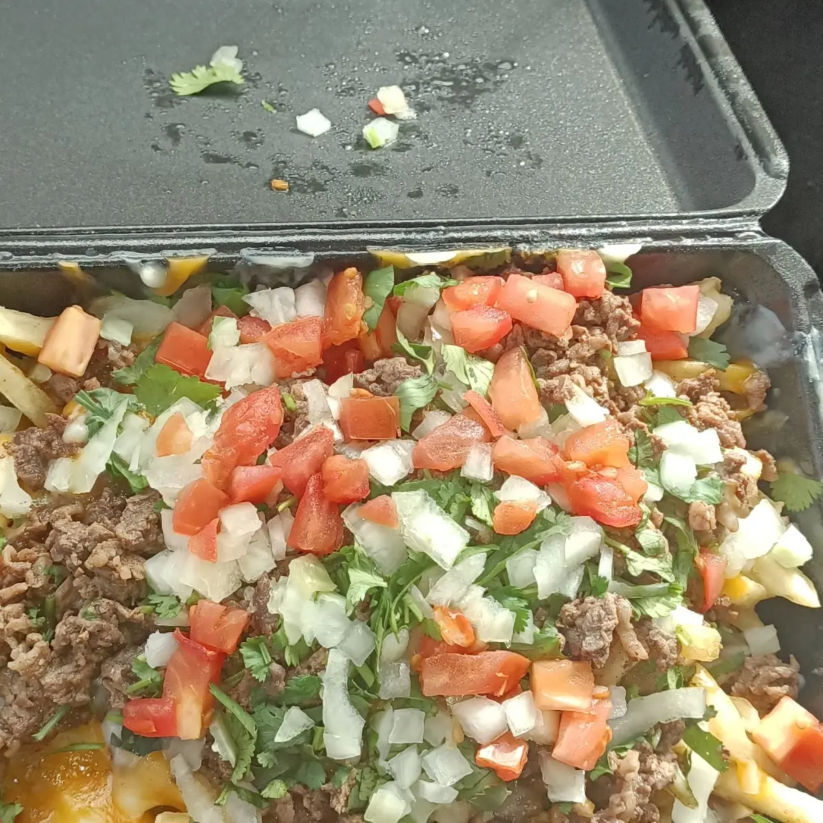 Carne Asada Fries