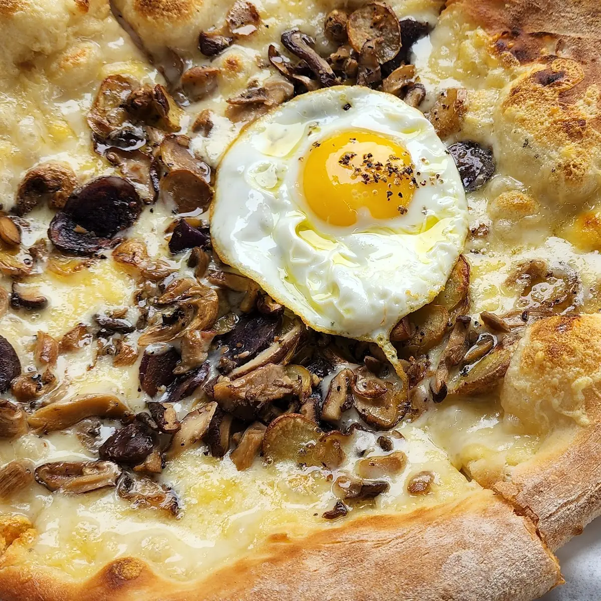 Funghi Pizza