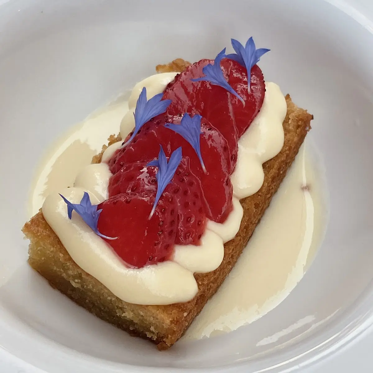 Olive Oil Cake