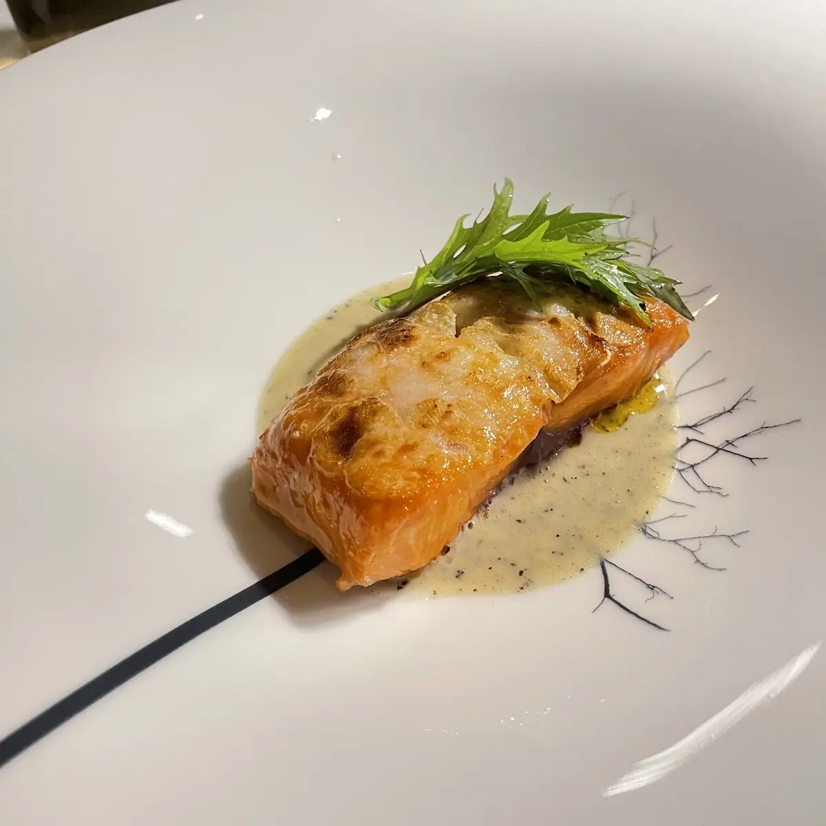 Black Cod
