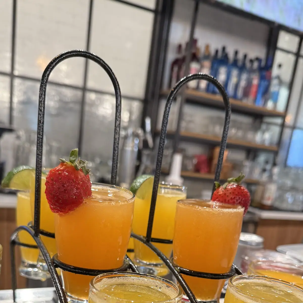 Mimosa Flight