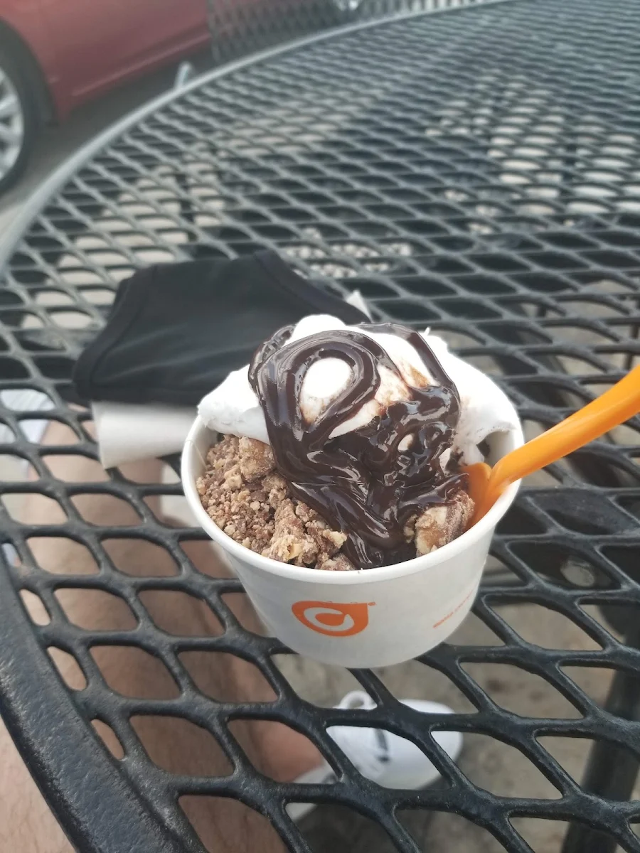 Frozen Yogurt