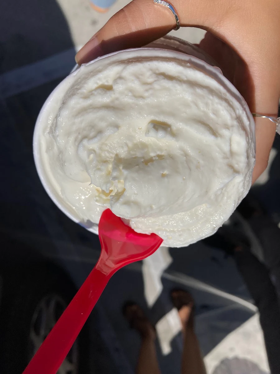 Vanilla Ice Cream
