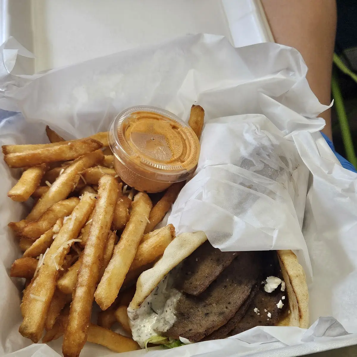 Gyro and Fries