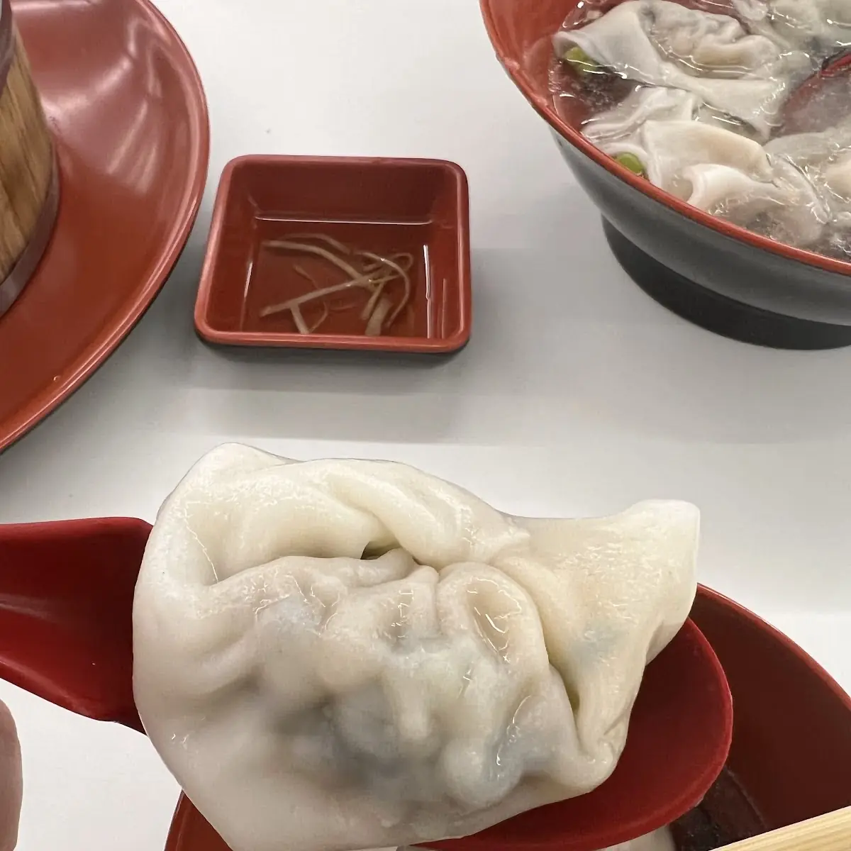 Jumbo Pork and Veggie Wonton Soup