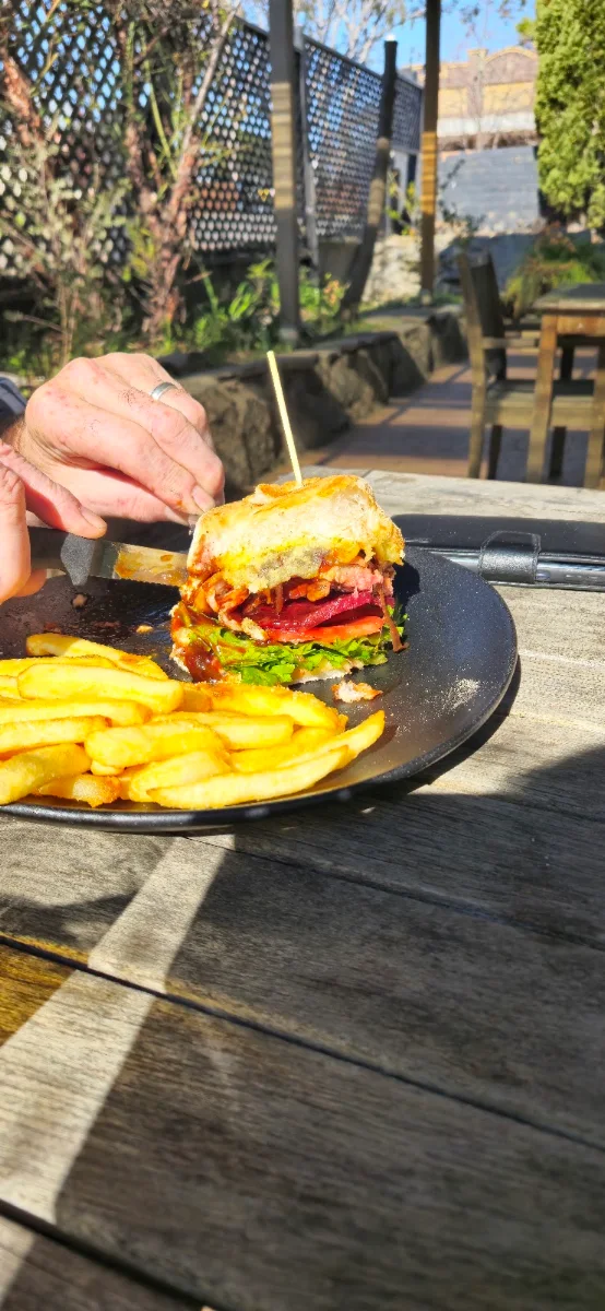 Top Pub Burger with Chips