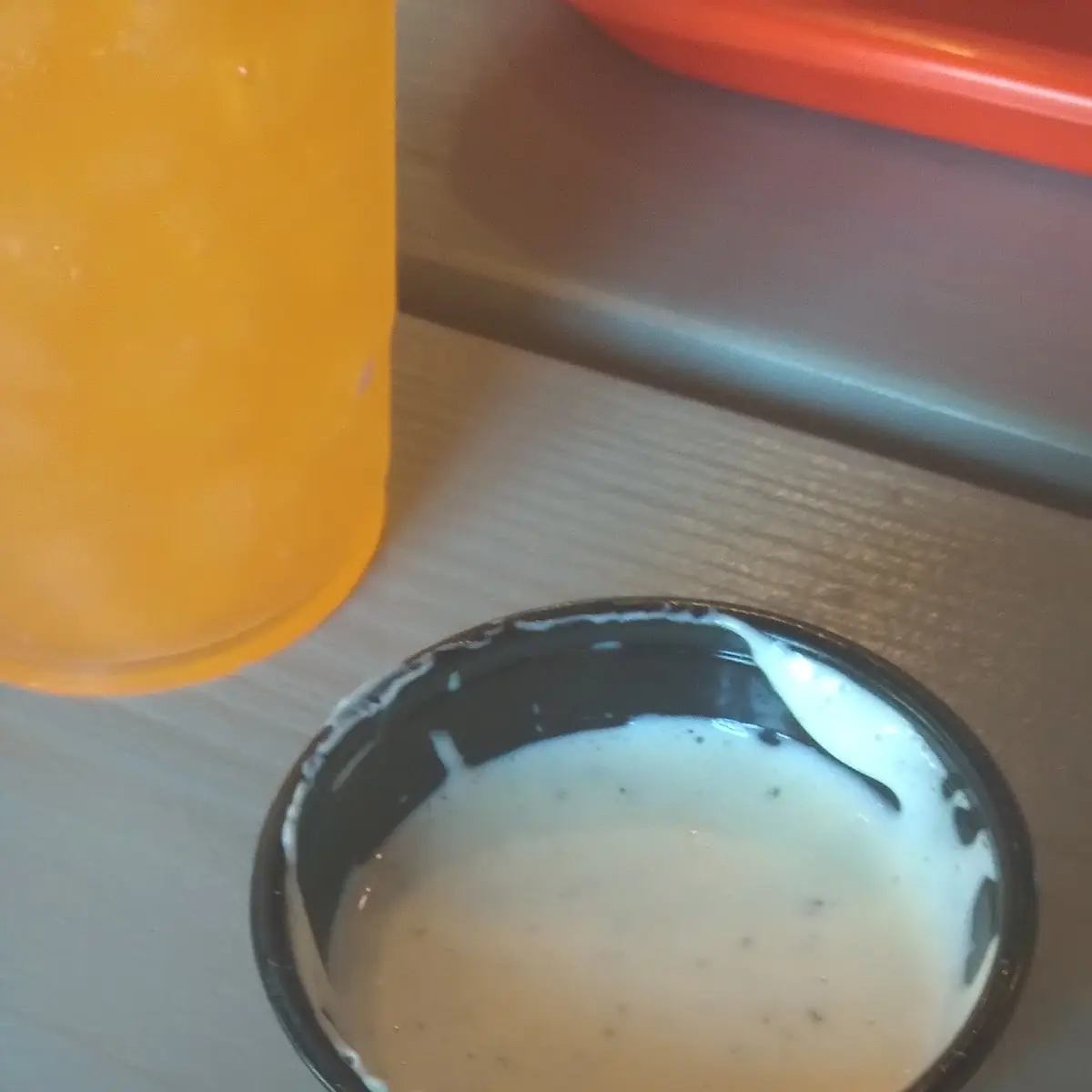 Protine Burger