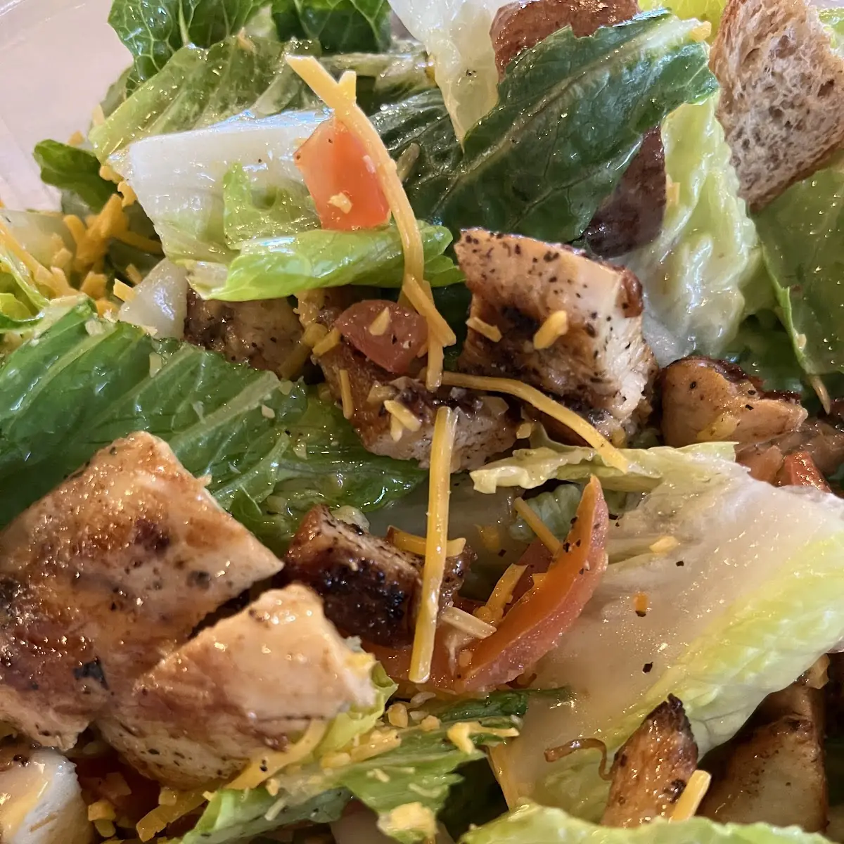 Grilled Chicken Salad