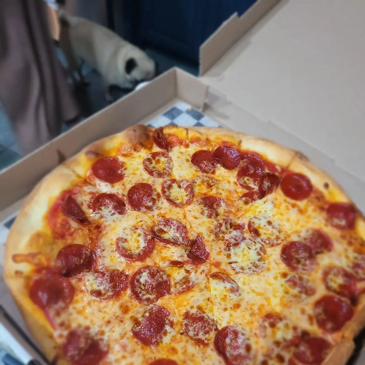 Pepperoni Pizza Medium