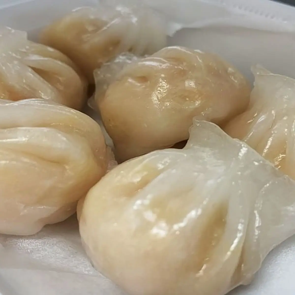 Spicy Dumpling w.Bean Sprout