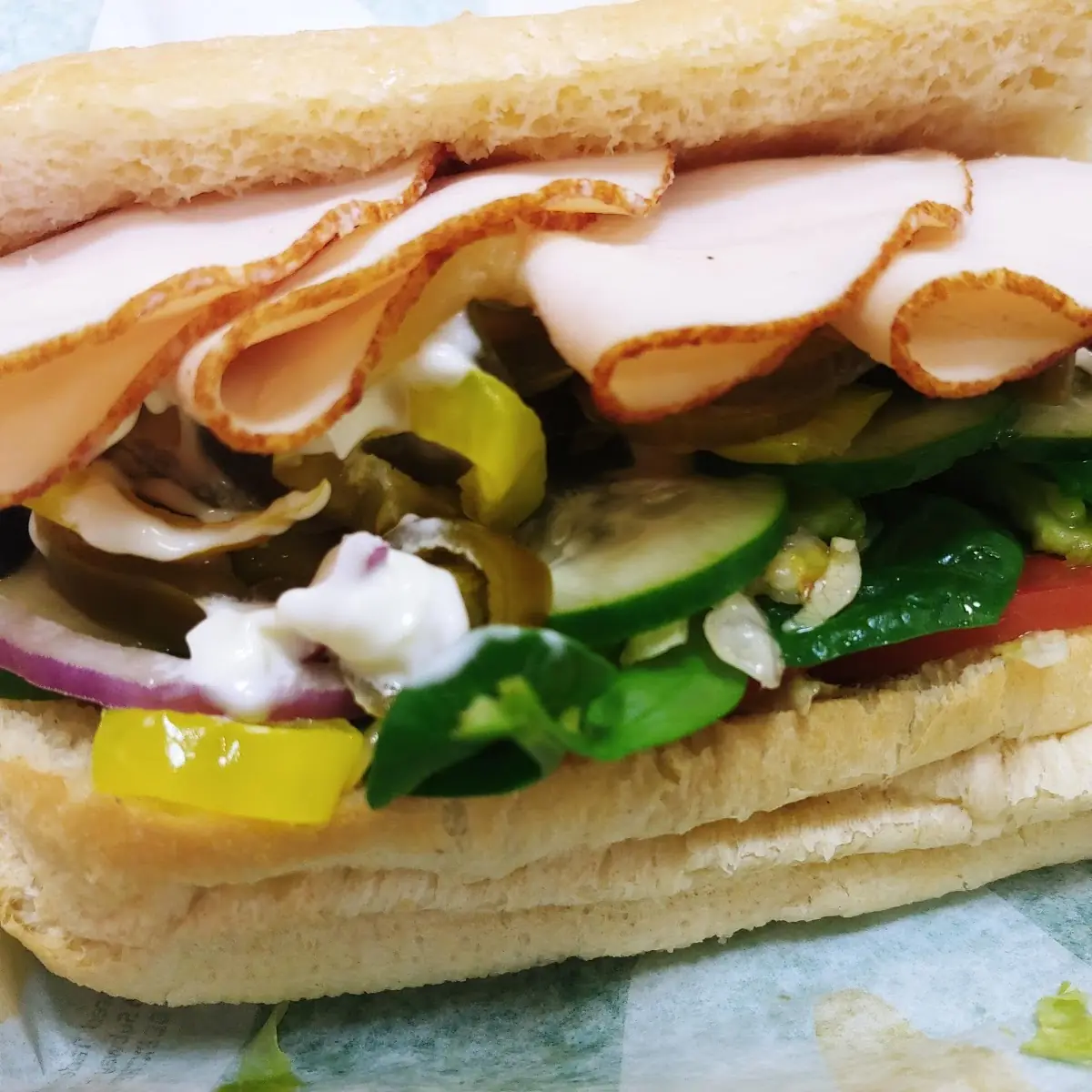 Turkey Sub