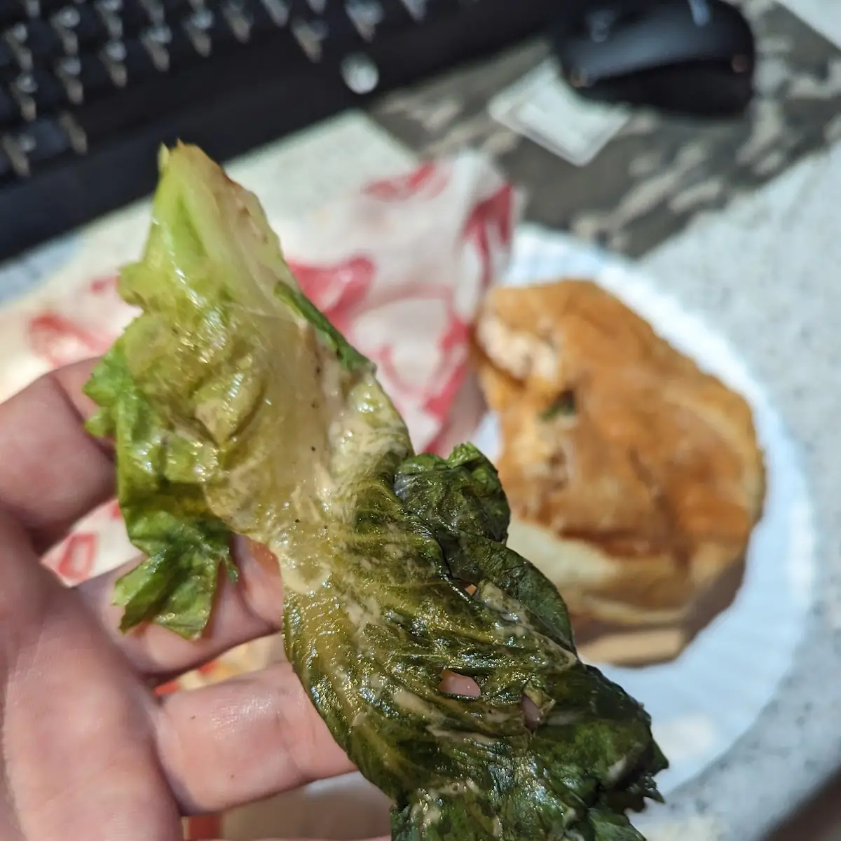 Chicken Tender Sandwich