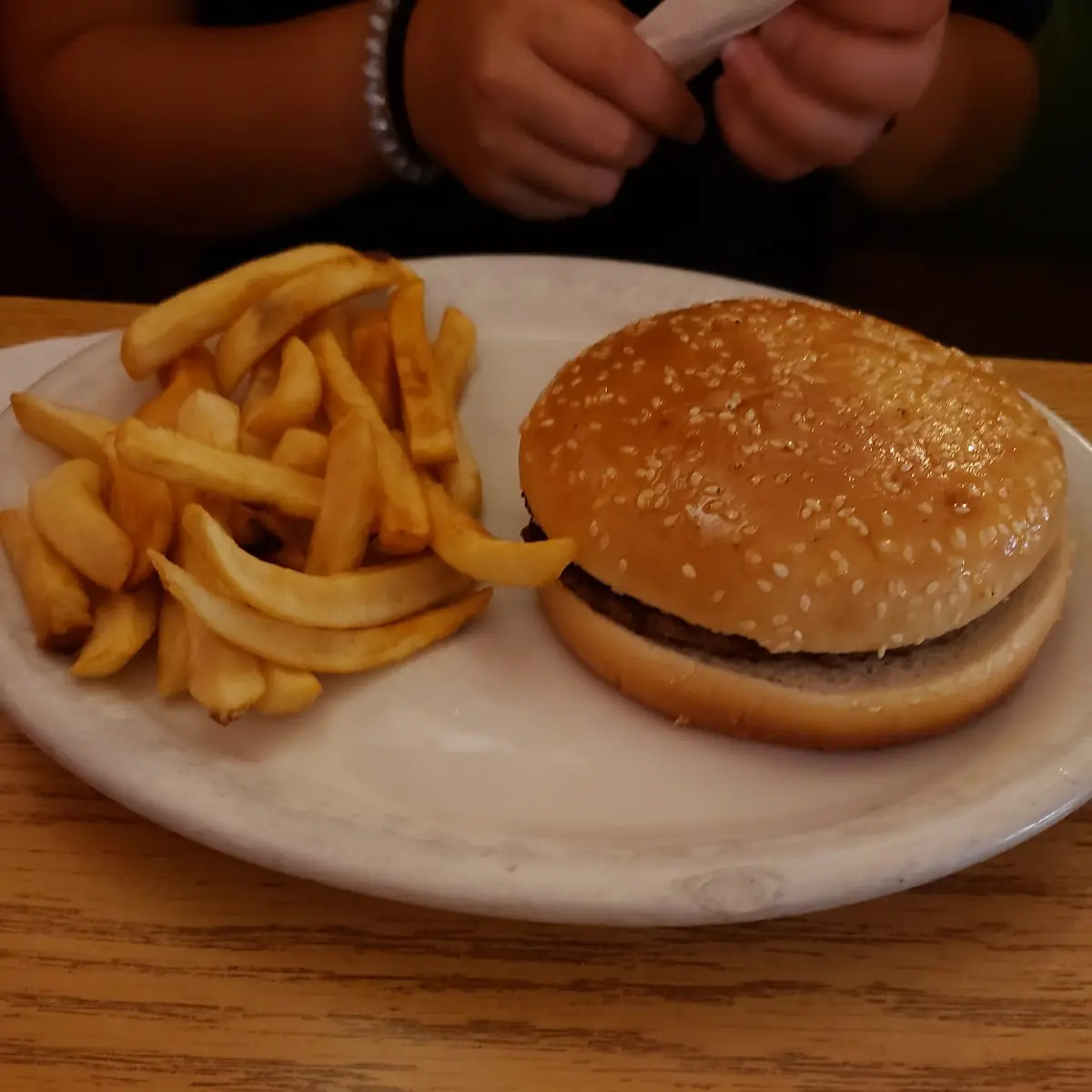 Plain Hamburger with French Fries