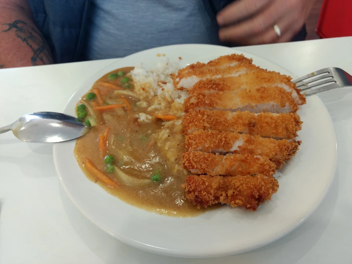 Fried Crumbed Chicken on Rice with Curry Sauce, Dumpling Go Go