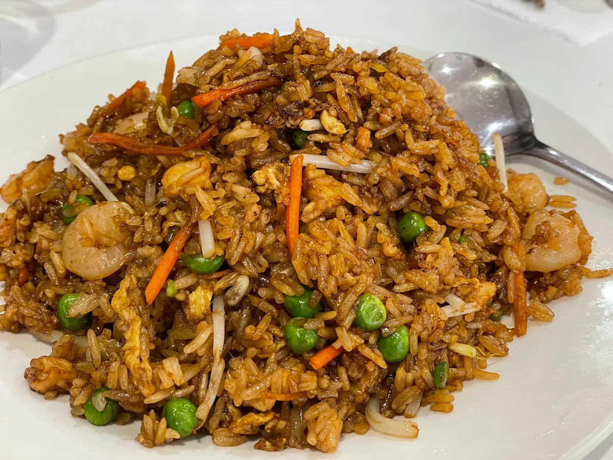 Special Fried Rice, Dumpling Go Go