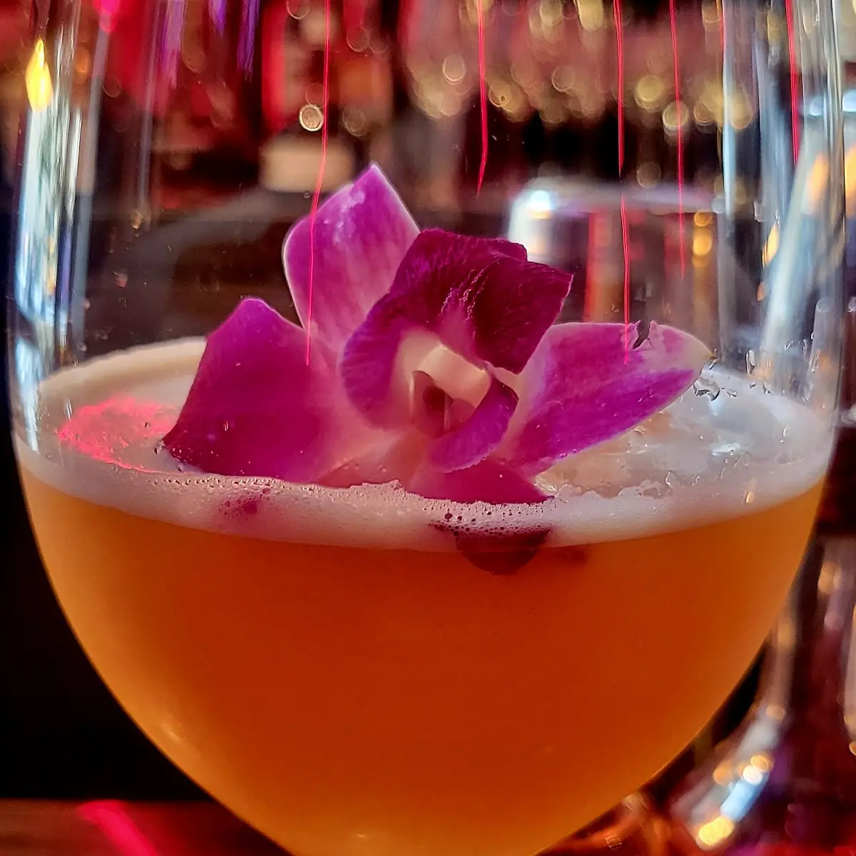 Peace on Earth Cocktail