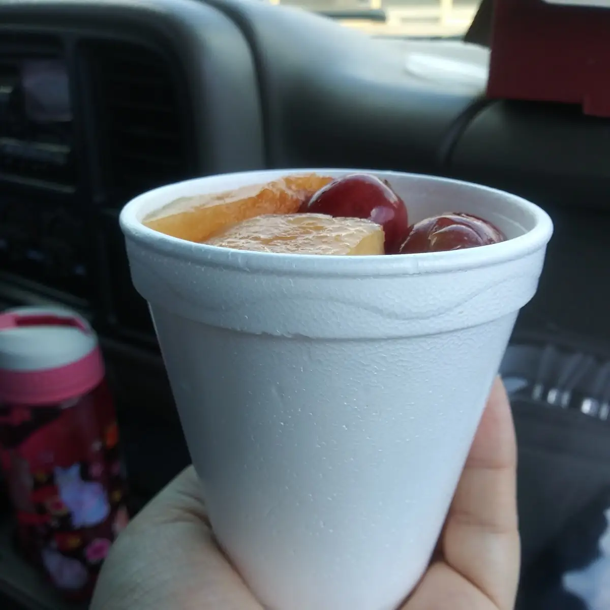 Fruit Cup