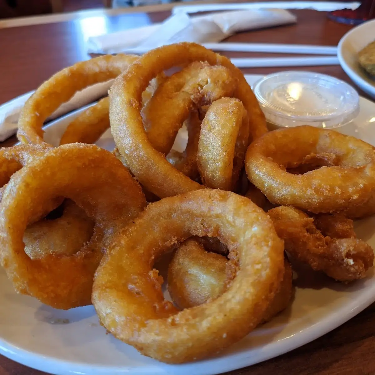 Onion Rings, Falls Manor Restaurant