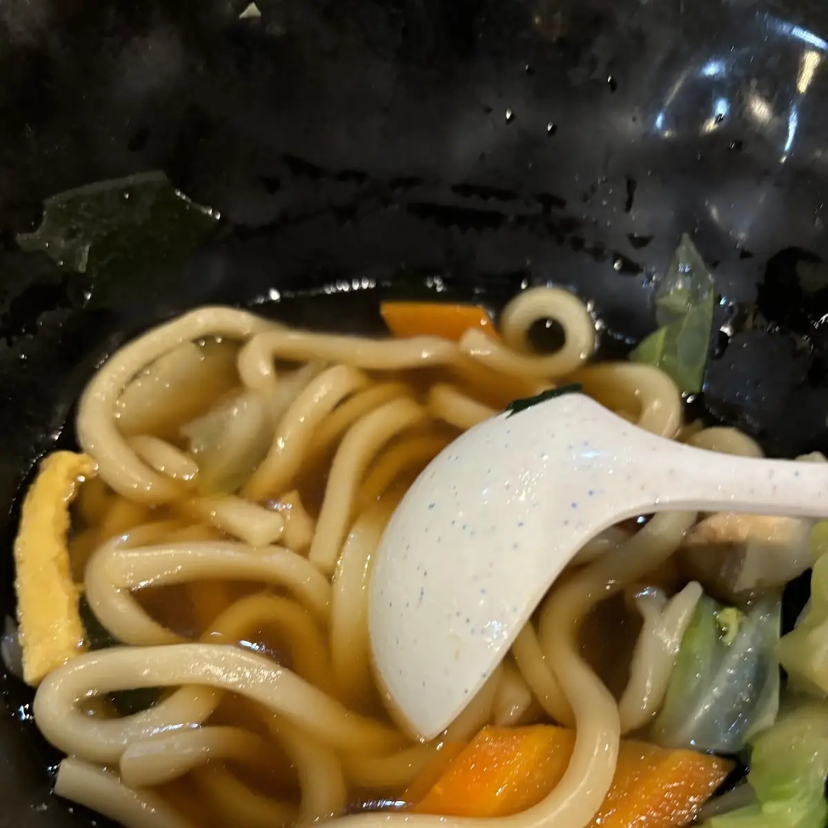 Udon Noodle Soup