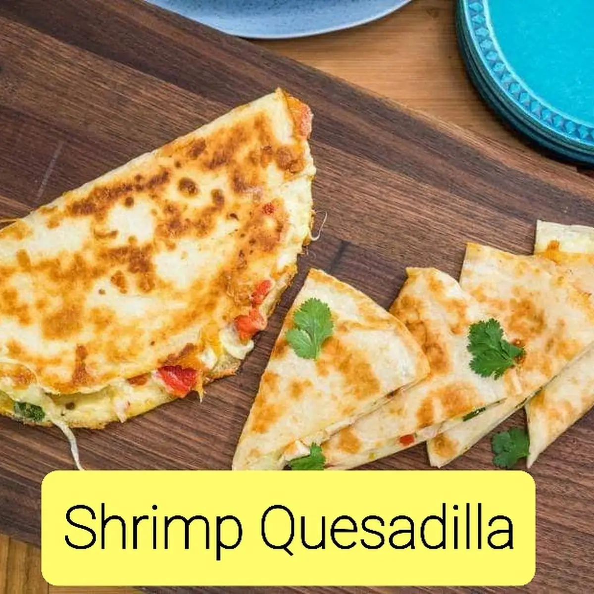 Chicken Quesadilla