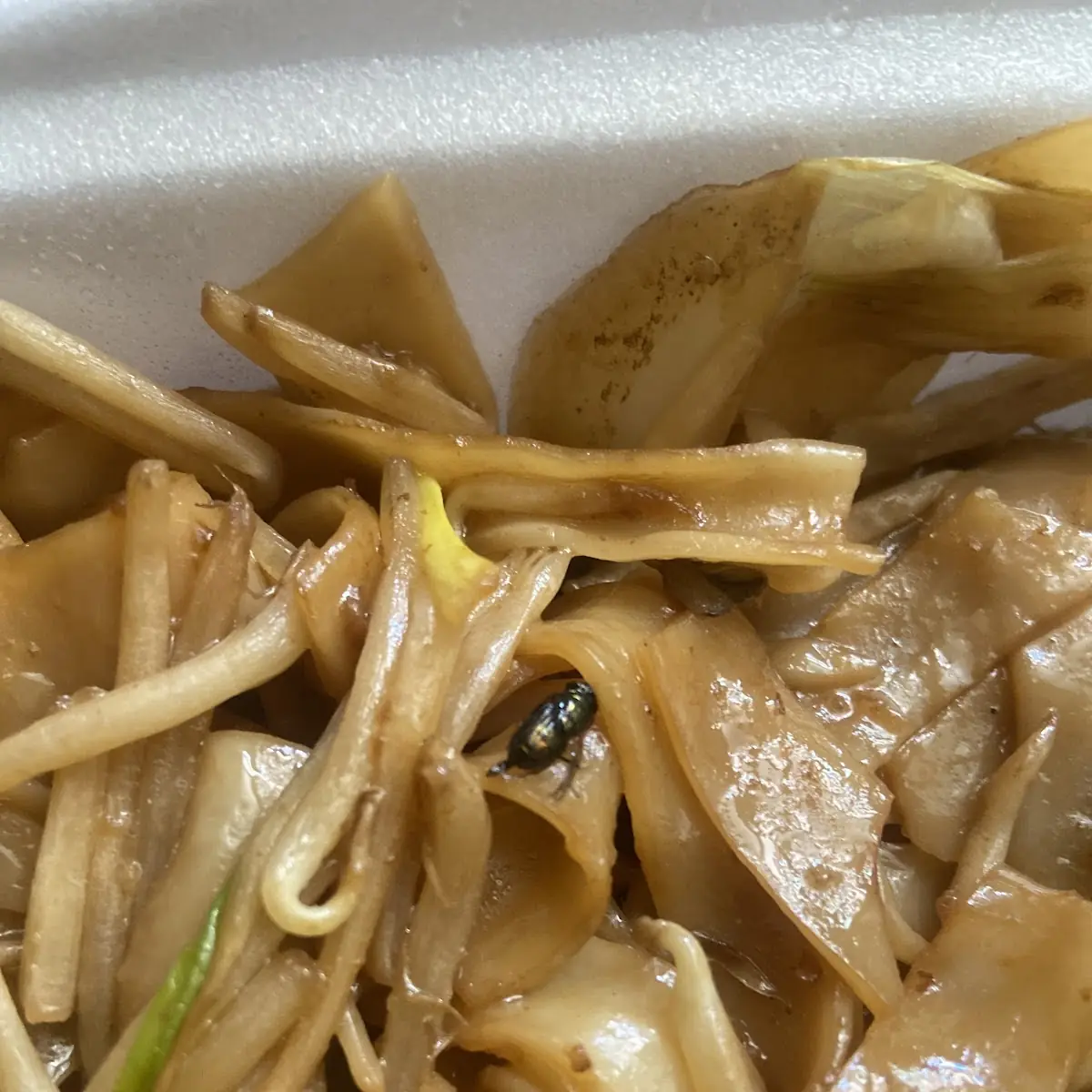 Beef Chow Fun