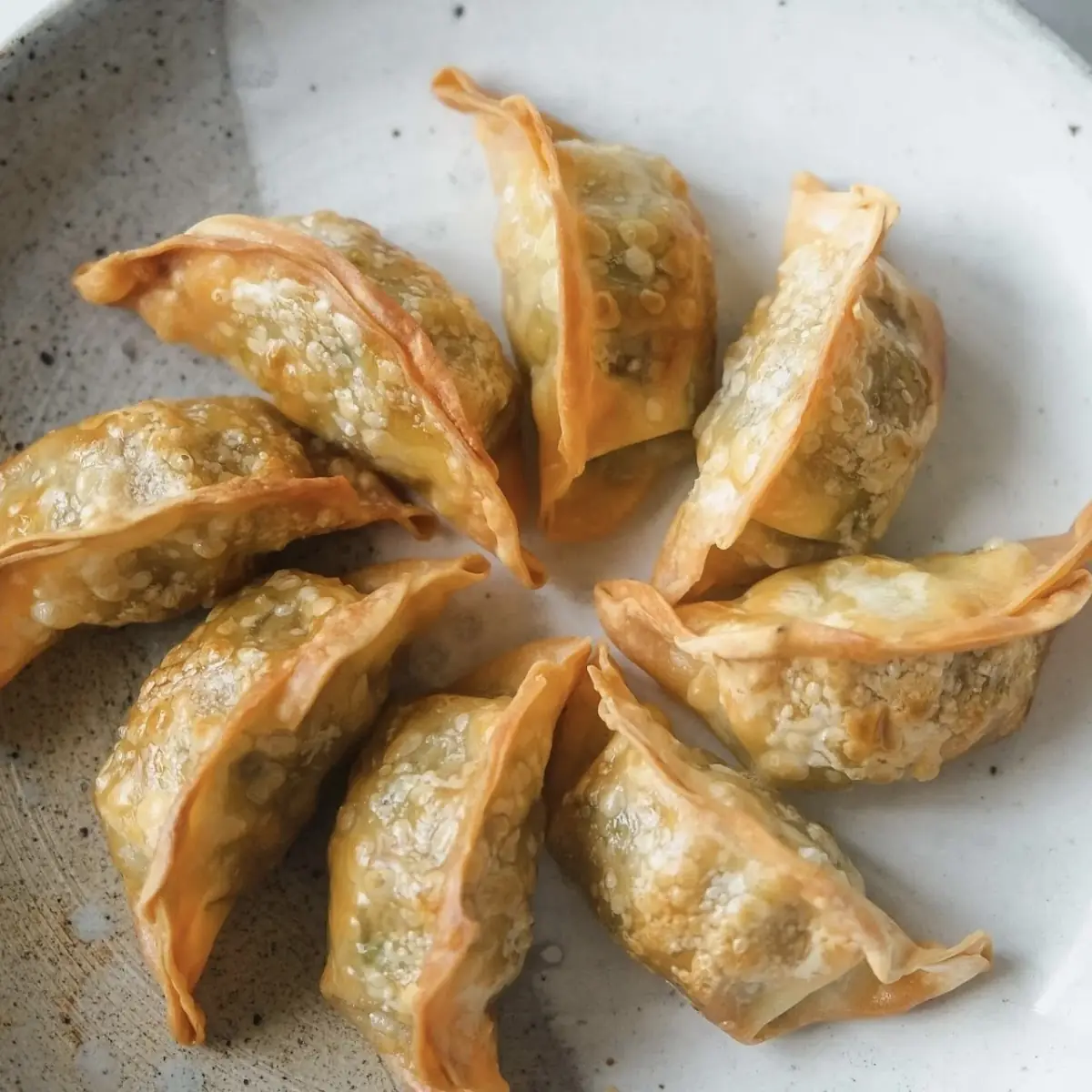 Fried Dumpling 5pc