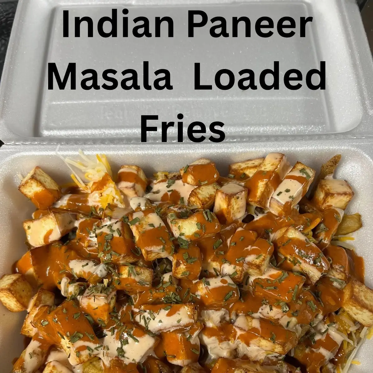 Indian Masala Loaded Fries