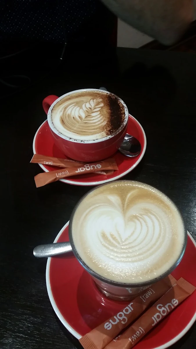 Highlights, Decoy Cafe / Dark Horse Coffee Roasters