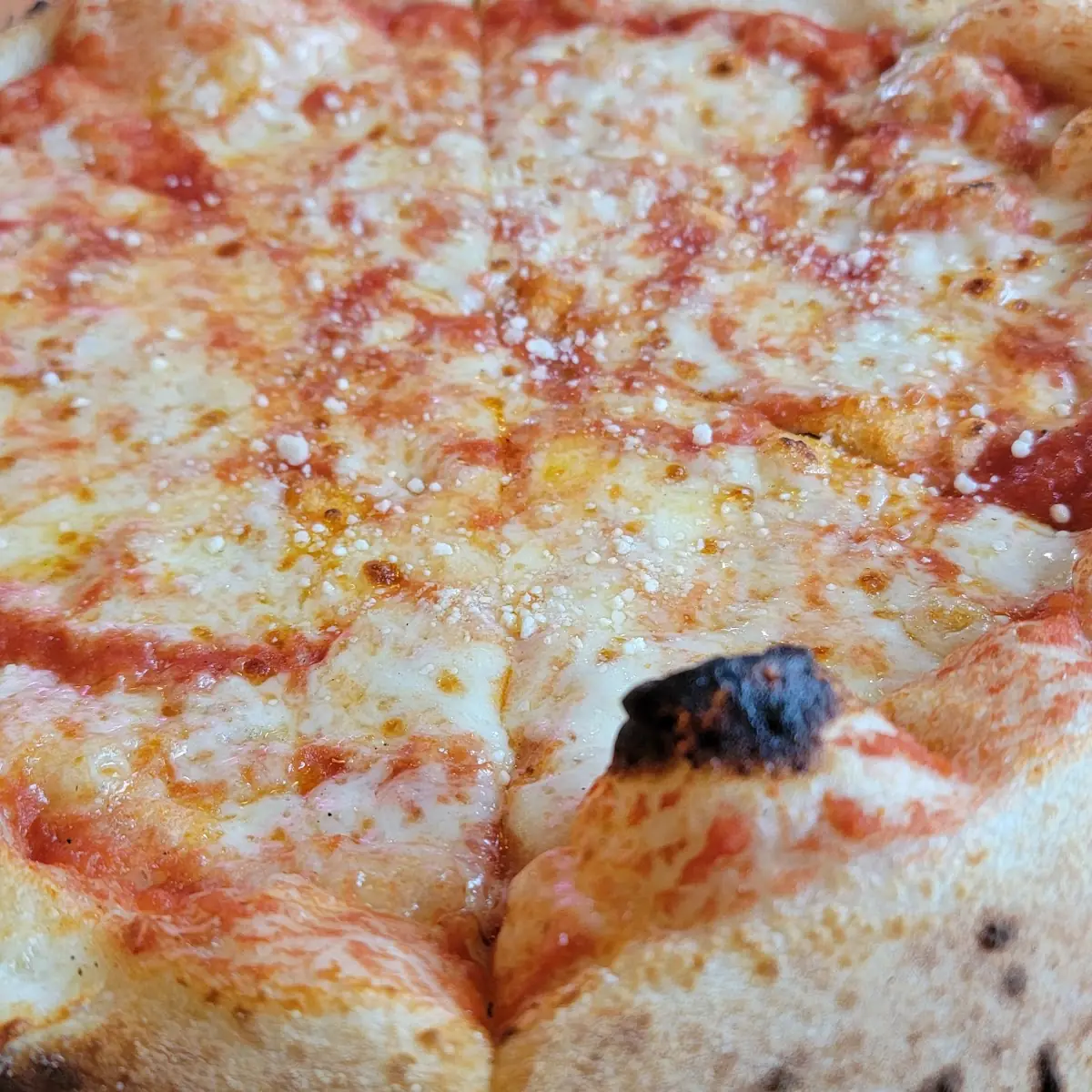 Cheese Pizza