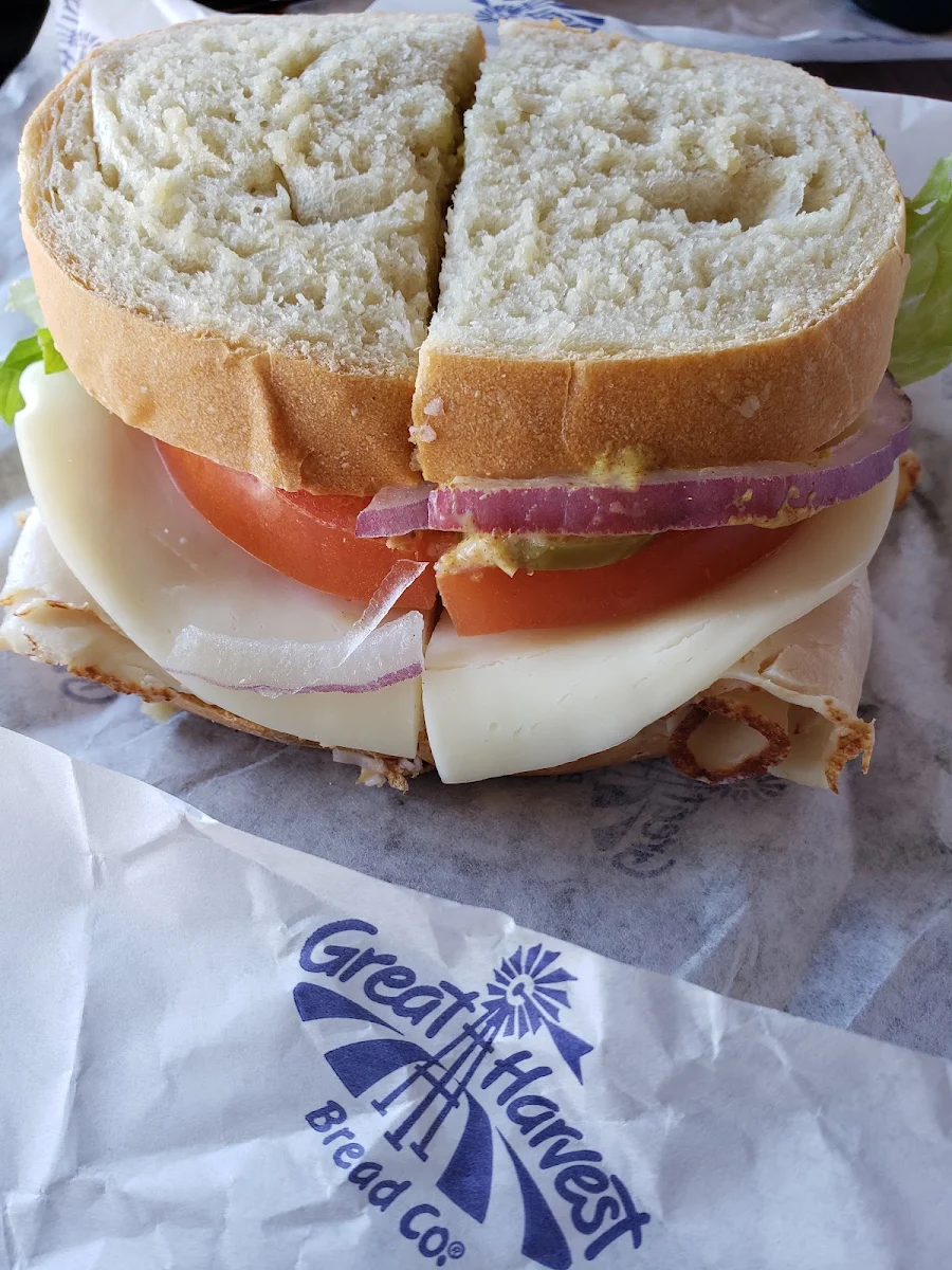Turkey & Cheese Sandwich