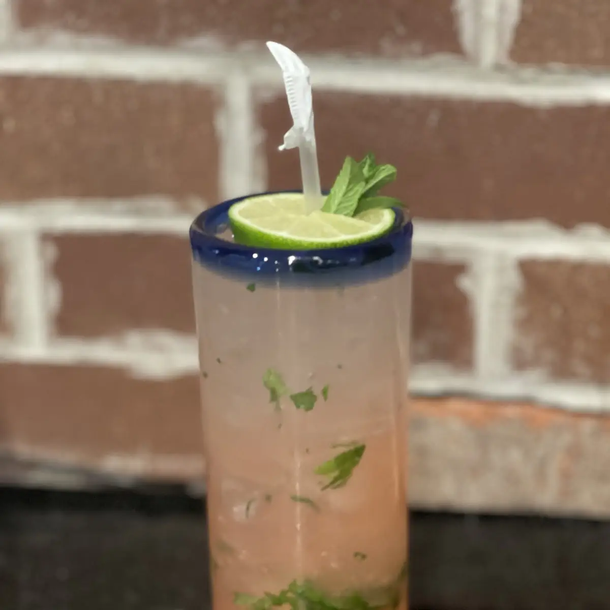Watermelon Mojito