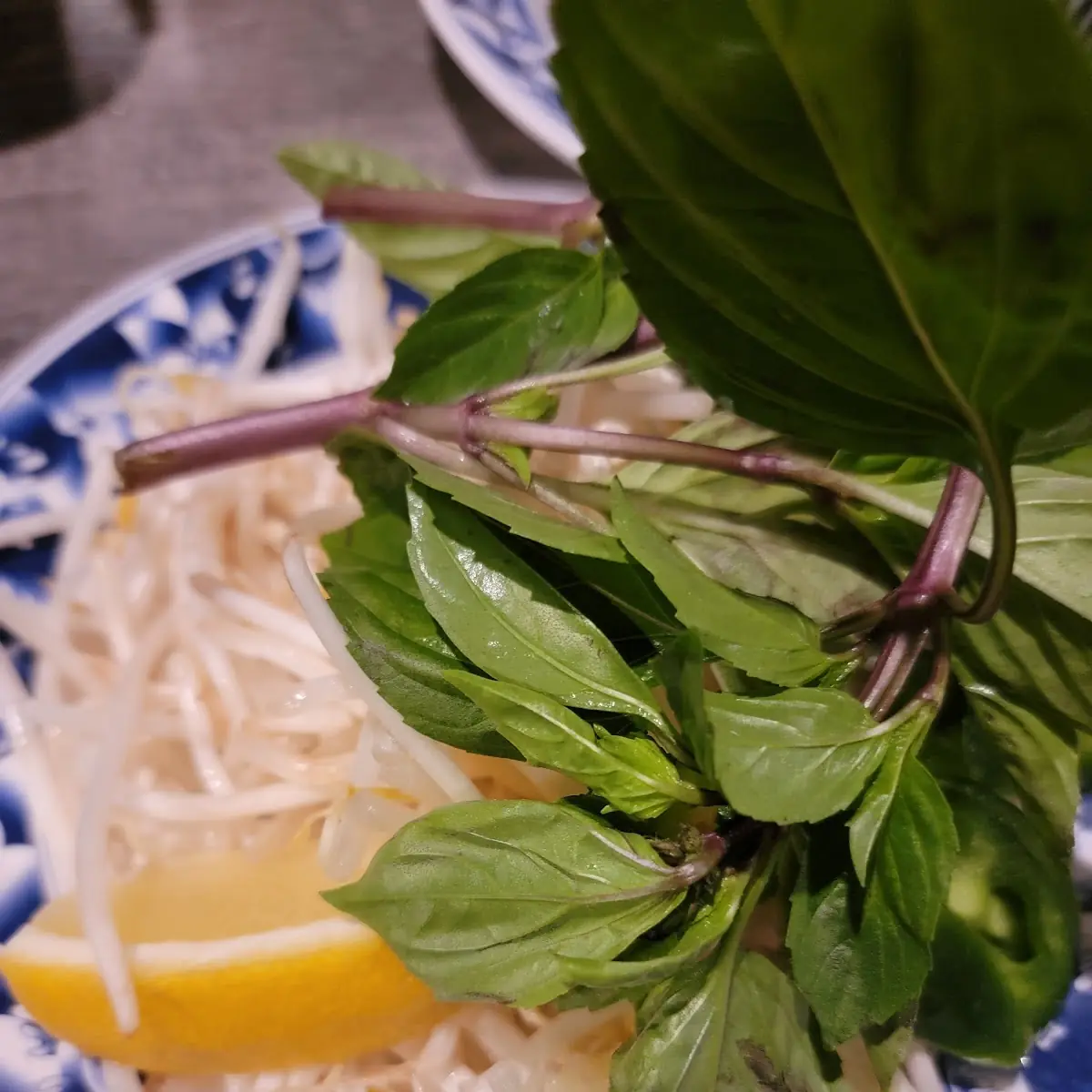 Thai Basil