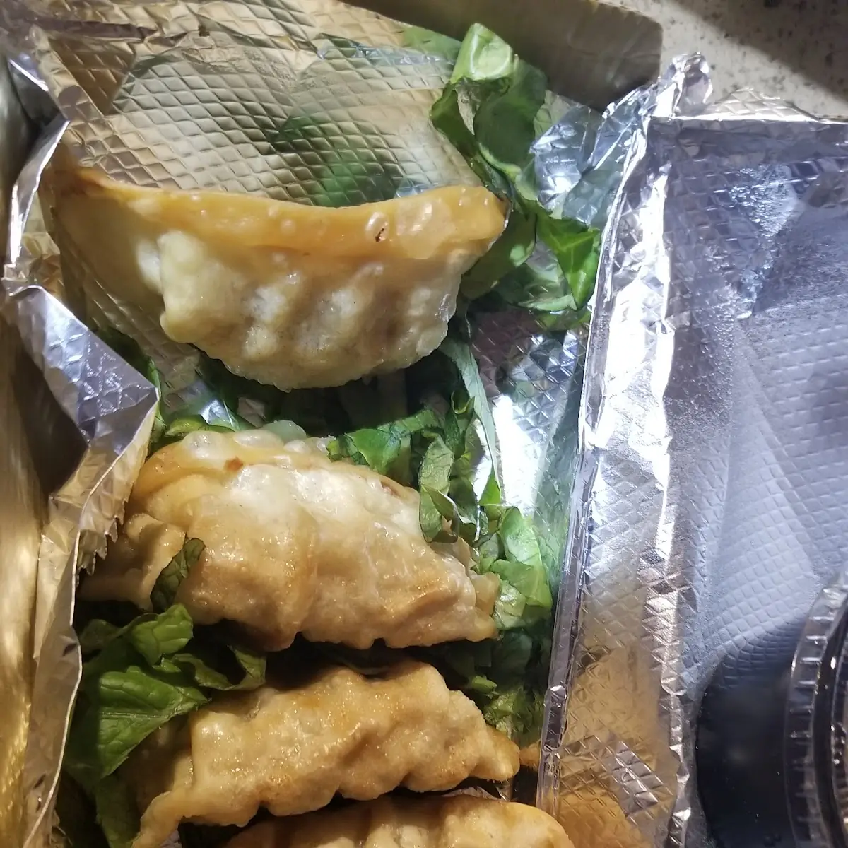 Fried Dumplings