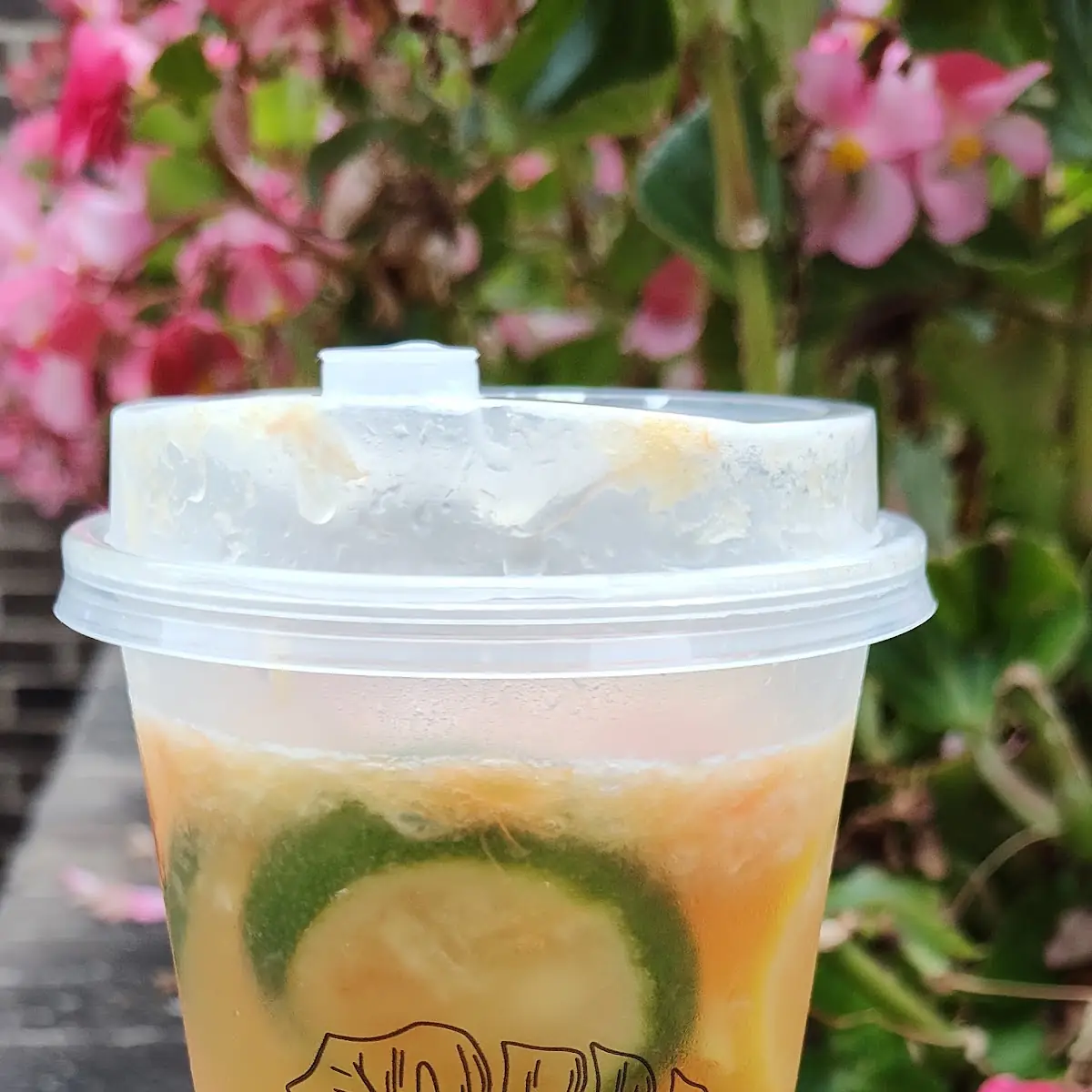 Fruit Tea