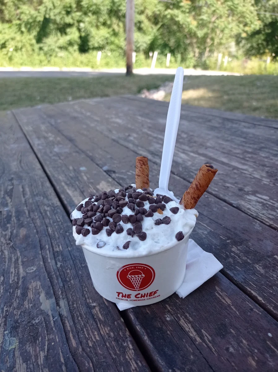 Turtle Sundae