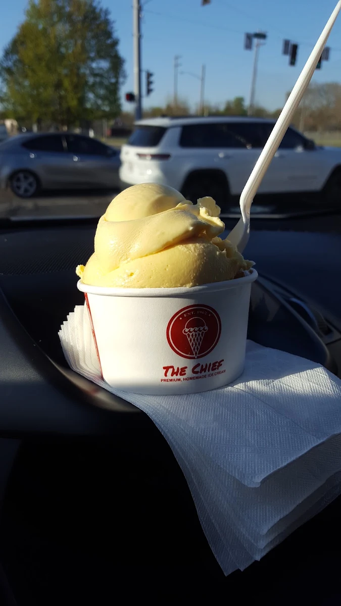 Vanilla and Chocolate Ice Cream