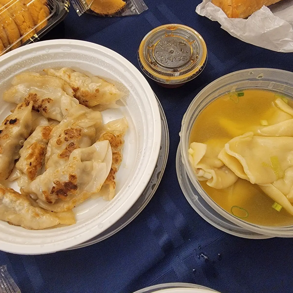 Fried Dumplings and Wonton Soup