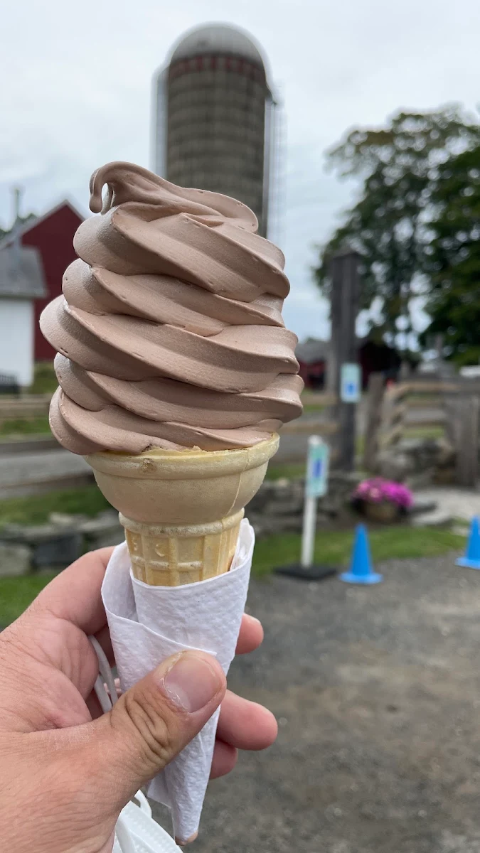 Chocolate Soft Serve Ice Cream