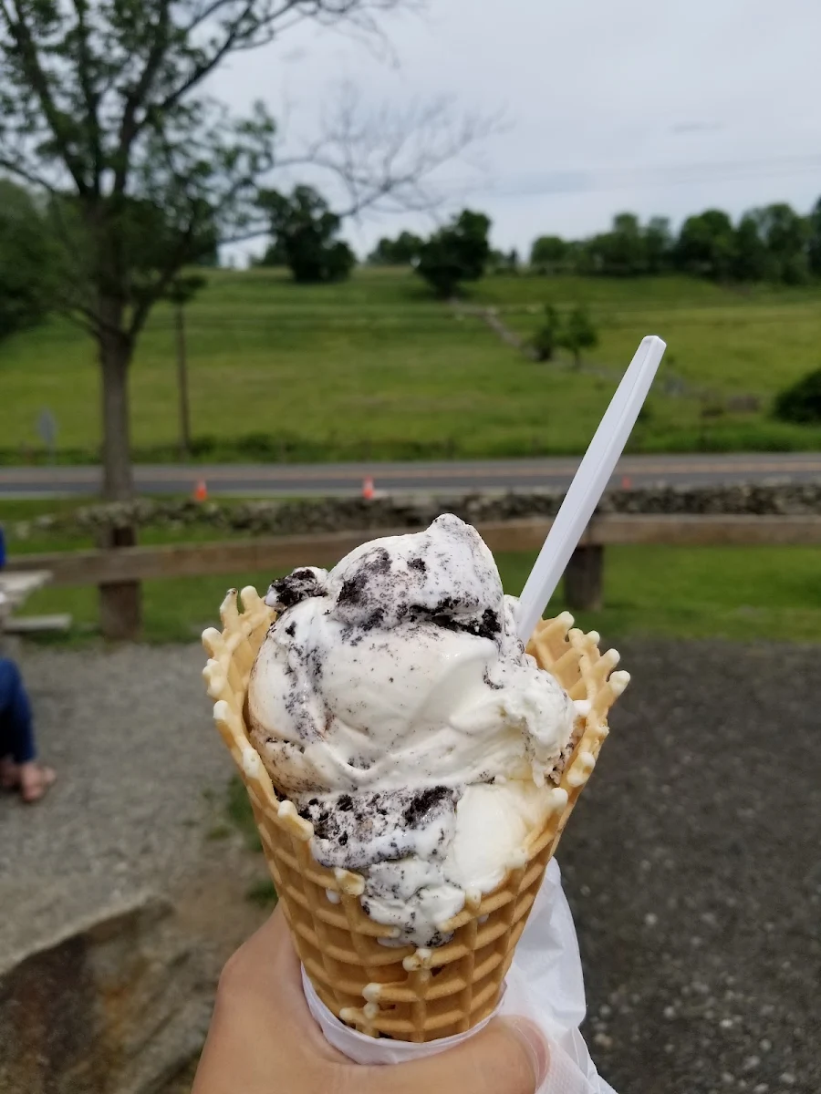 Grass Hopper on Waffle Cone