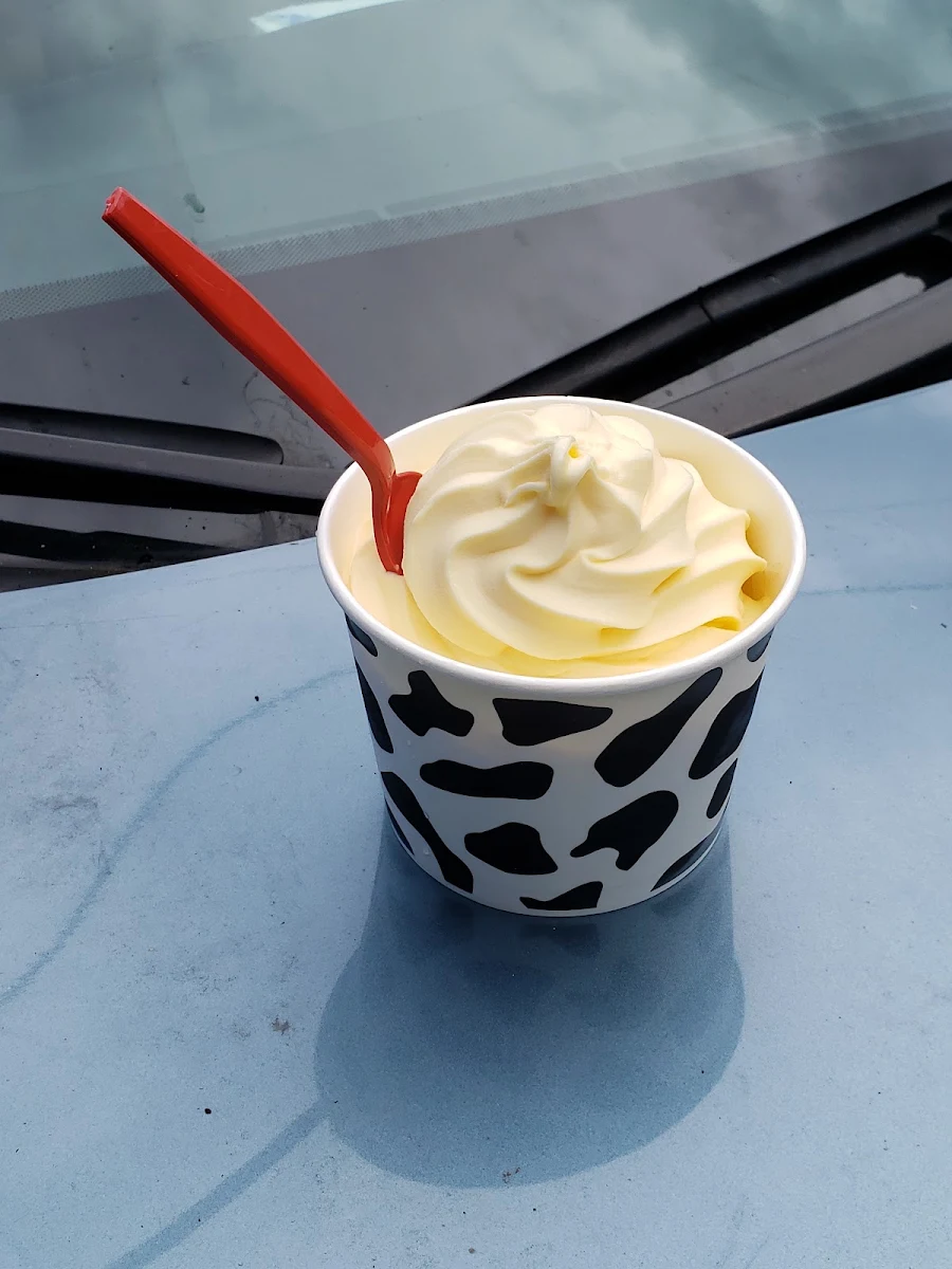 Dole Pineapple Soft Serve Large