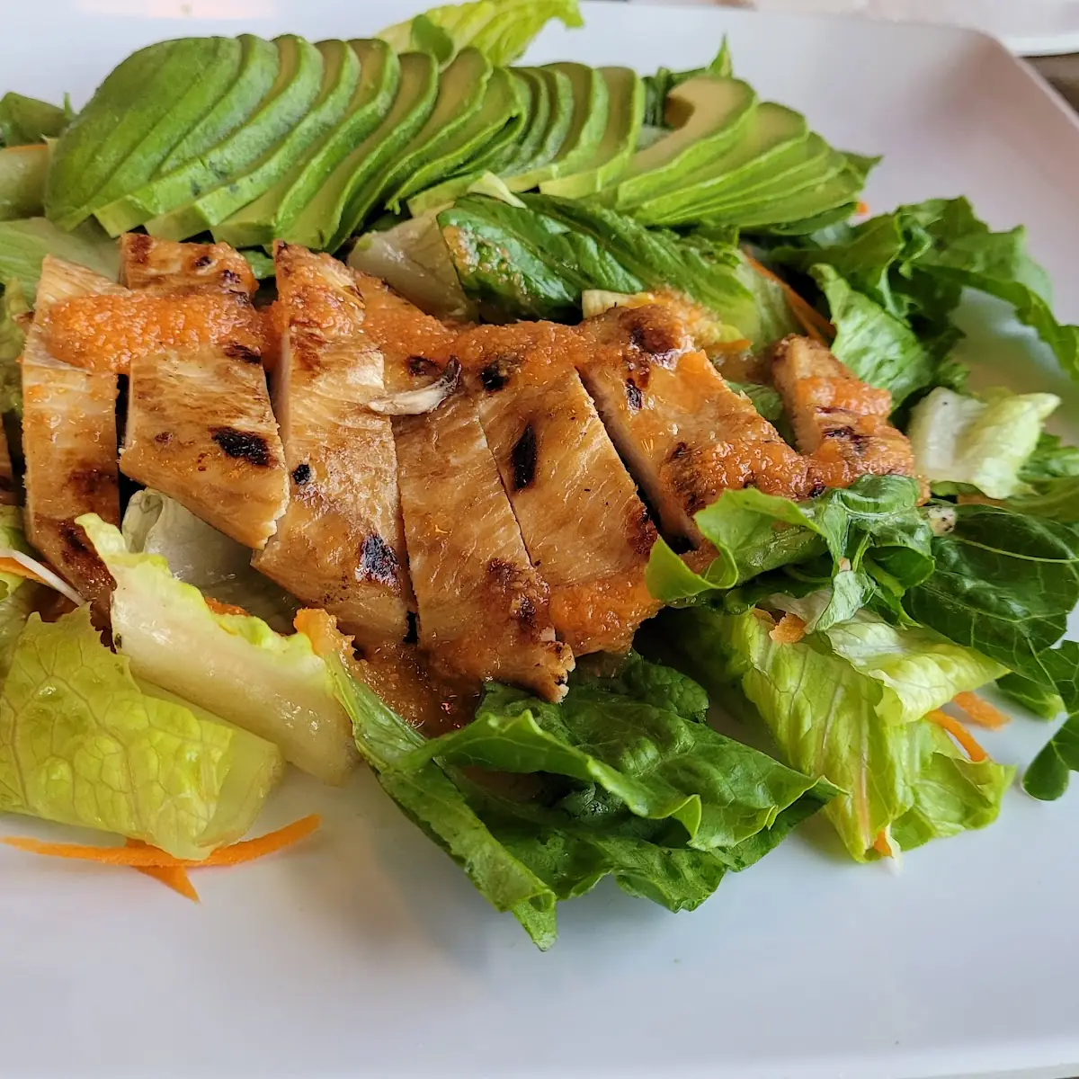 Chicken Avocado Salad